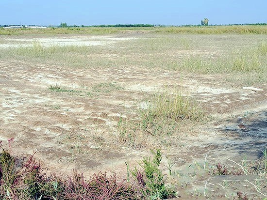 1602484905392375.jpg 3.jpg