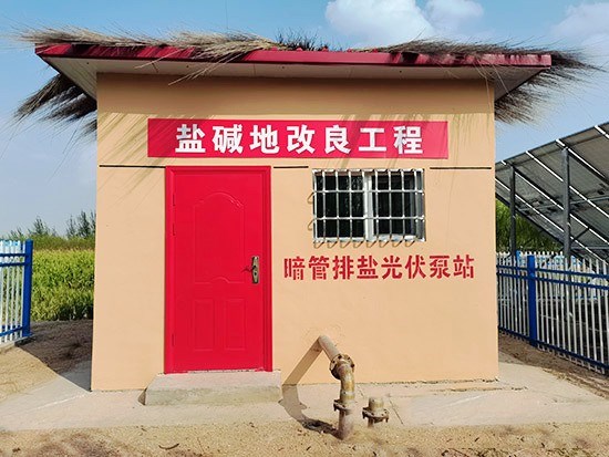 1602484917272873.jpg 4.jpg