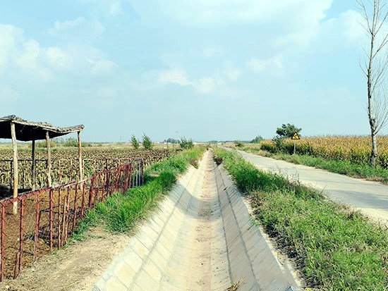 1602484928848120.jpg 5.jpg