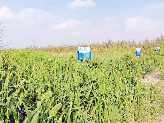 1602484941649799.jpg 6.jpg