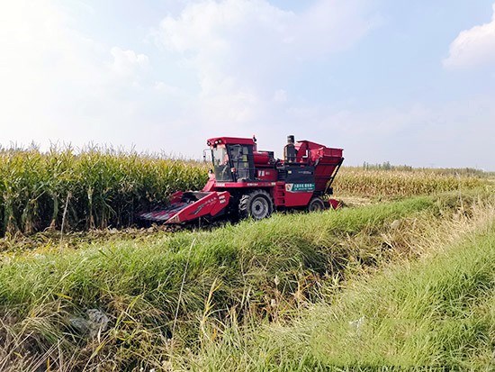 1602484953447112.jpg 7.jpg