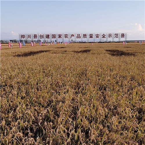 1603954467152253.jpg W020201029479991054267.jpg