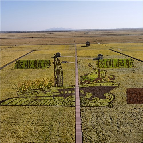 1603954478520375.jpg W020201029479991193925.jpg