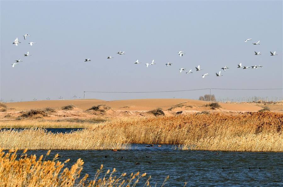 1605062812689062.jpg 微信图片_20201111104454.jpg