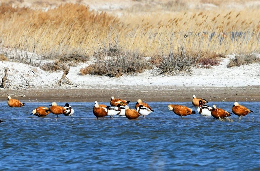 1605062828130713.jpg 微信图片_20201111104459.jpg