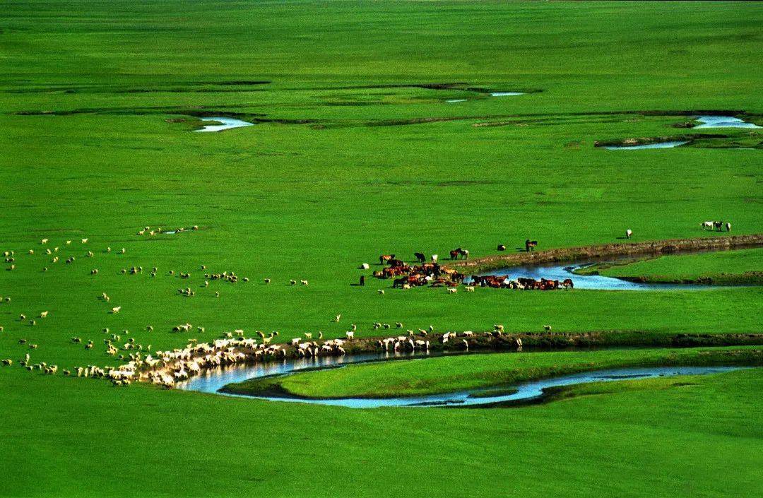 锡林郭勒草原:草色连天天际遥 绿林映水水映山 - 生态北疆 - 内蒙古