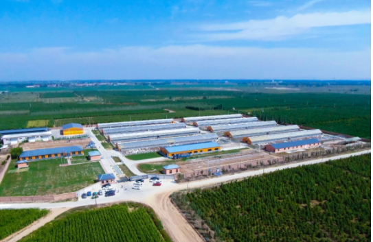 1638148850398078.png image.png