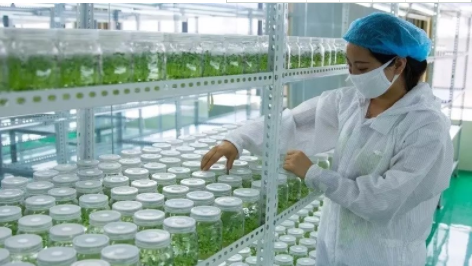 1638148874284736.png image.png