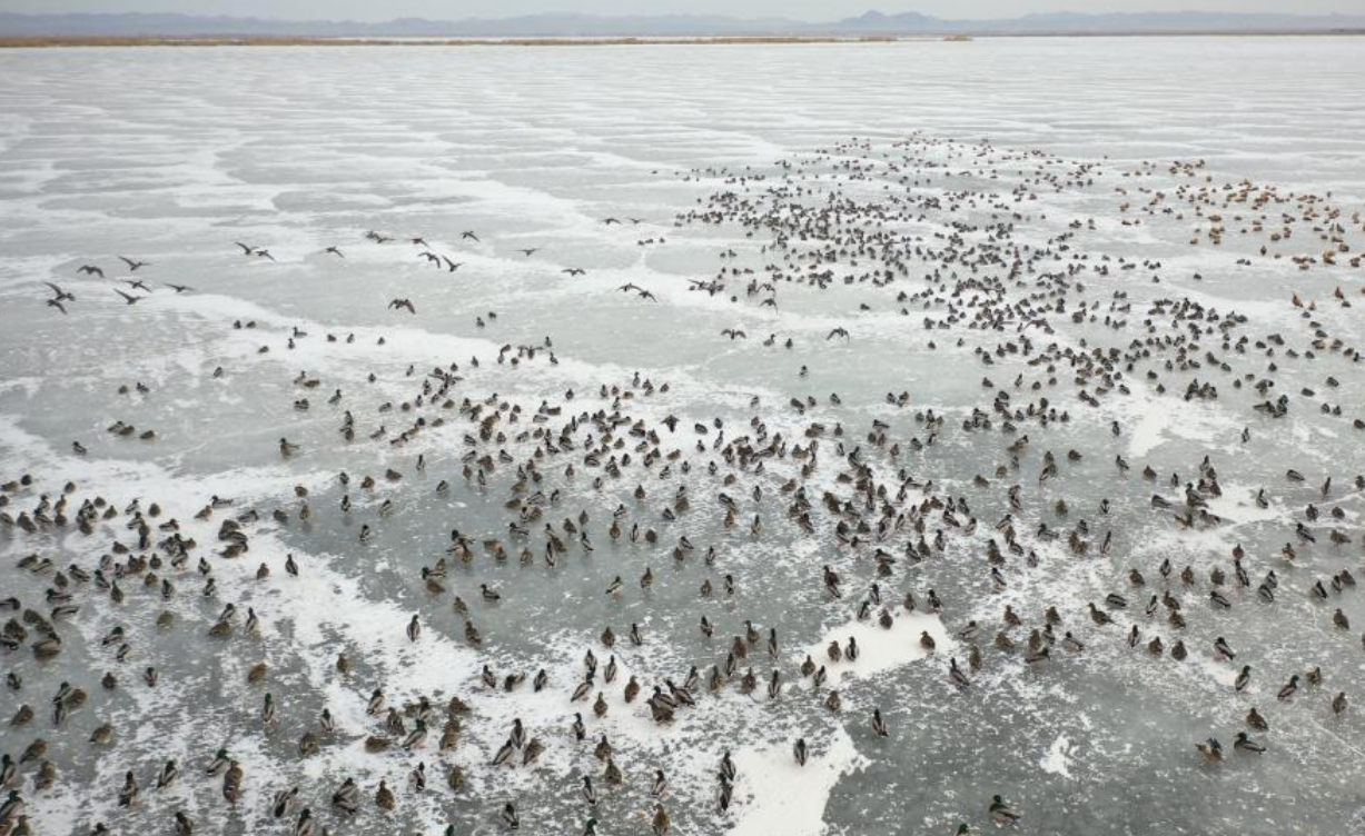 1676859315113846.png image.png