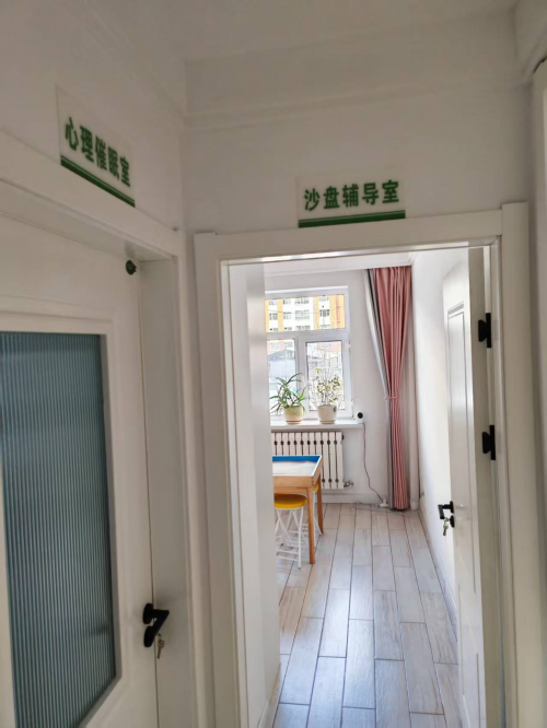 悟心心理咨询荣获 2025年度内蒙古首届《专业心理咨询服务之星》评选活动冠军第9张