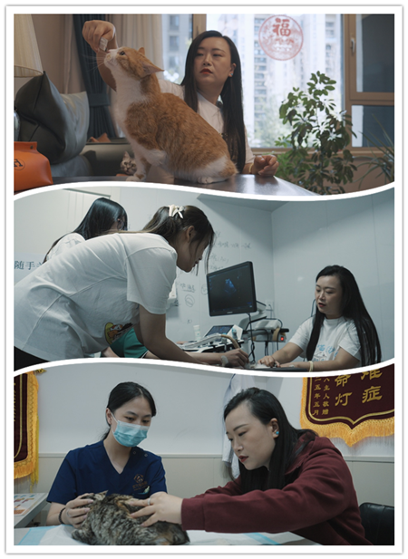 1760665911703760.png 图片1111_副本.png