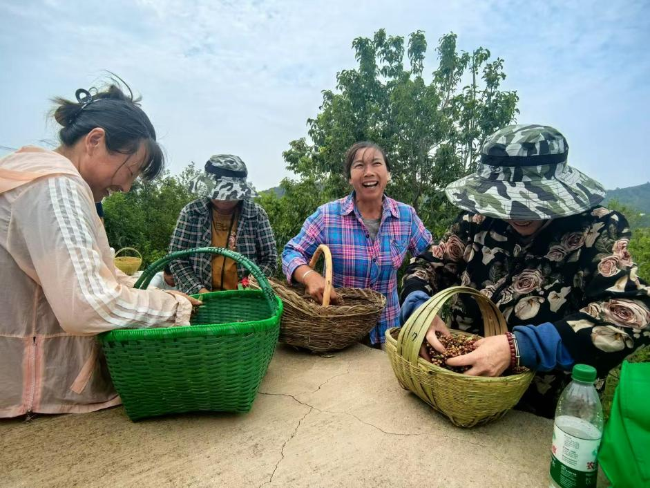 1762140387515028.png 图片3.png