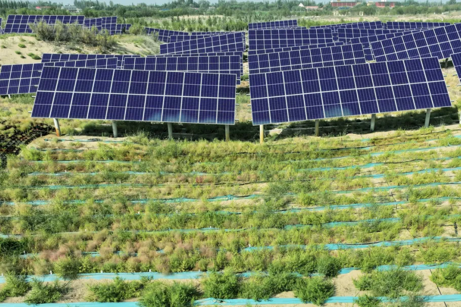 1763947110932600.png 图片4.png