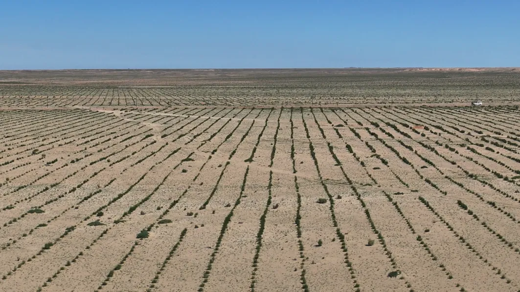 1763947126627188.png 图片5.png