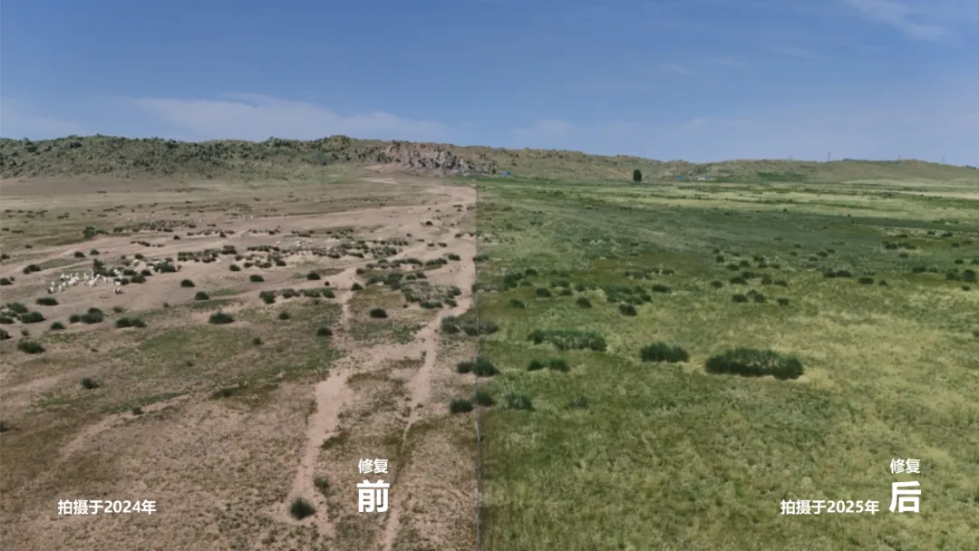 1763947190705299.png 图片3.png