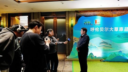 呼伦贝尔大草原品牌神州行暨农垦臻选优品年货节正式启幕第8张