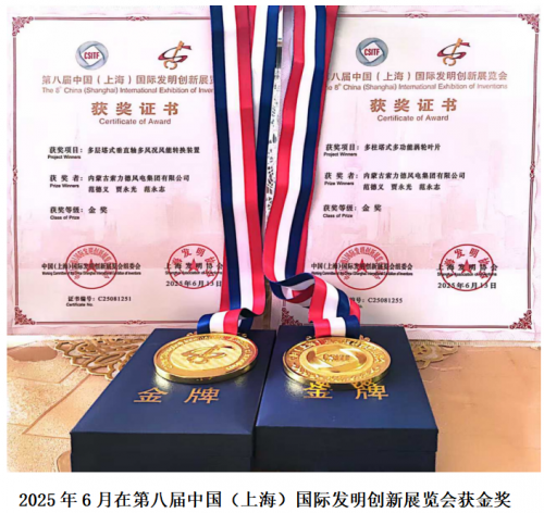 索力德“二代风电”中国力量以科技创新引领全球风电未来第7张