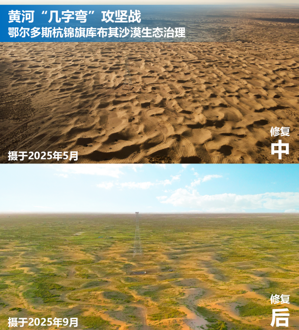 1765936850790353.png 图片1.png