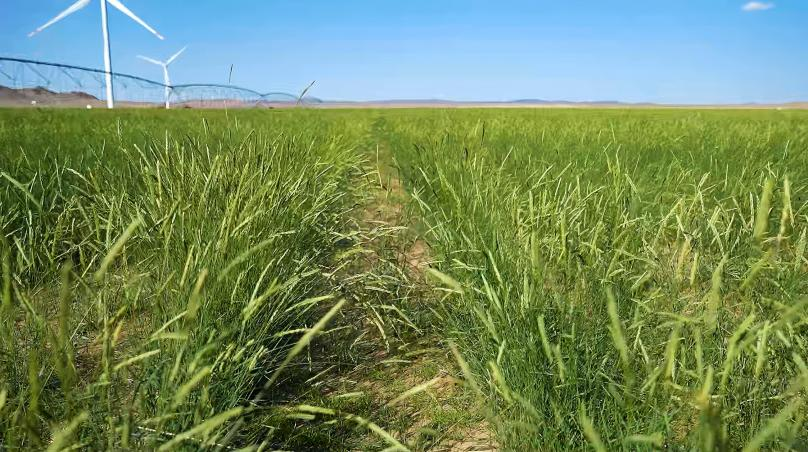 1765936872880867.png 图片2.png