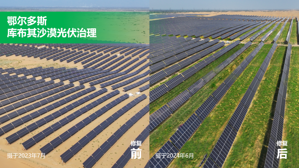 1765936994651822.png 图片6.png