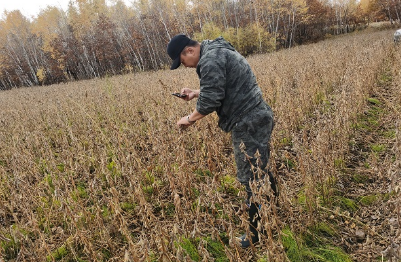 1769395708456937.png image.png