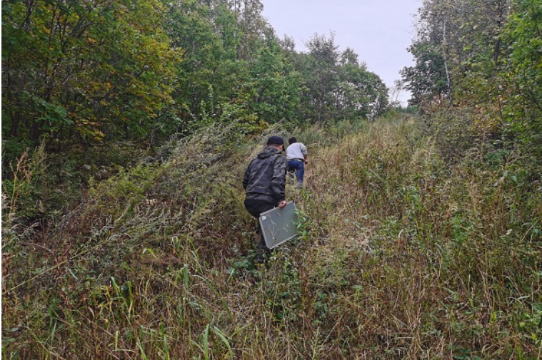 1769395732904355.png image.png