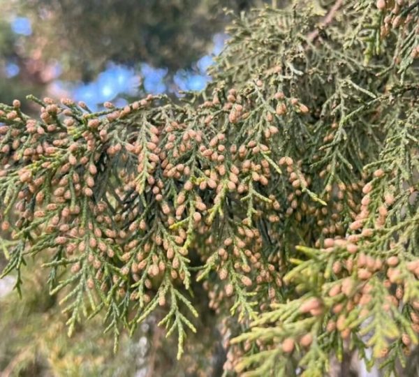 image10_sm image10_sm