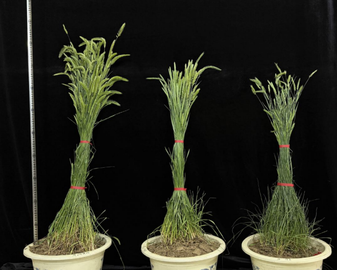 1774510392494342.png image.png