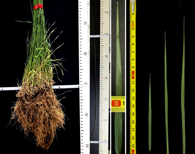 1774510440537735.png image.png