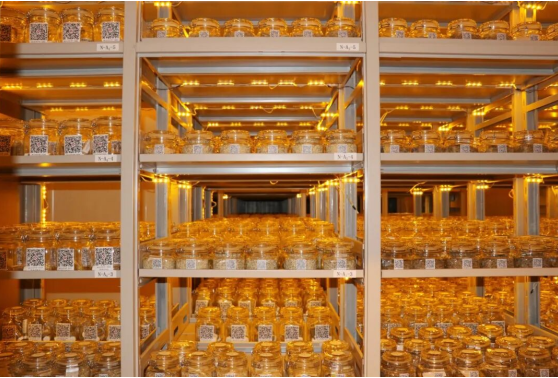 1775199076721420.png image.png