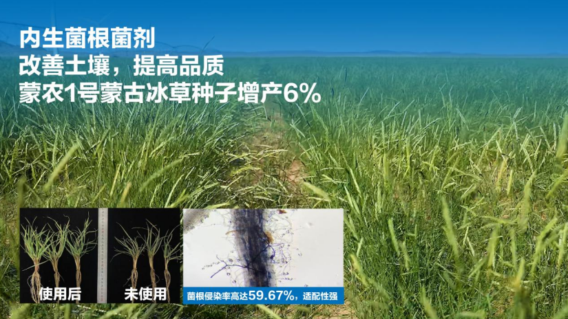 蒙草生态创新微生物肥料产品技术体系助力产业提质增效(图1)